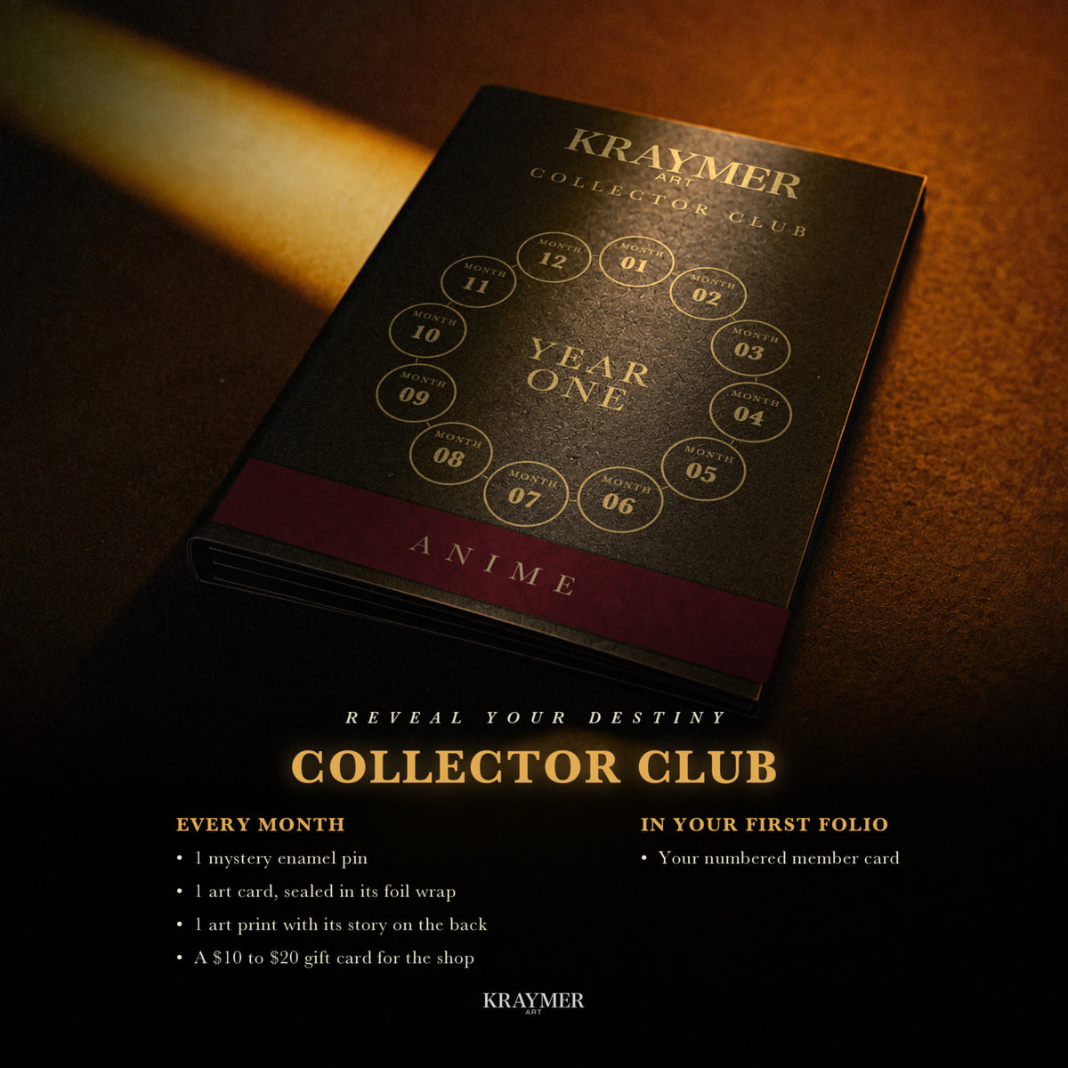 Every month: a mystery enamel pin, a sealed art card, an art print and a $10 to $20 gift card, with a numbered member card in the first folio