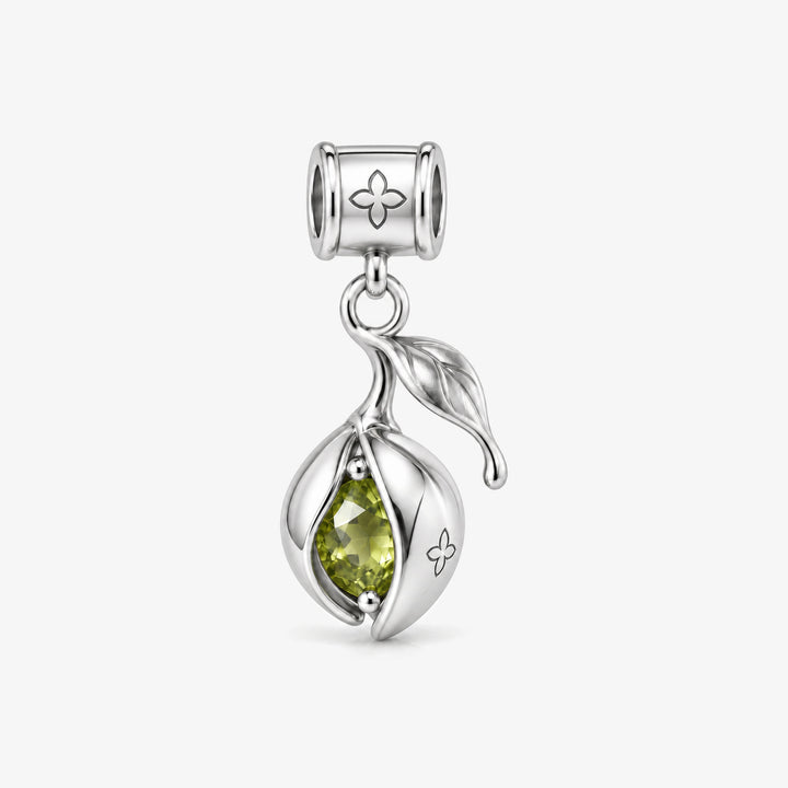 Nahida Charm