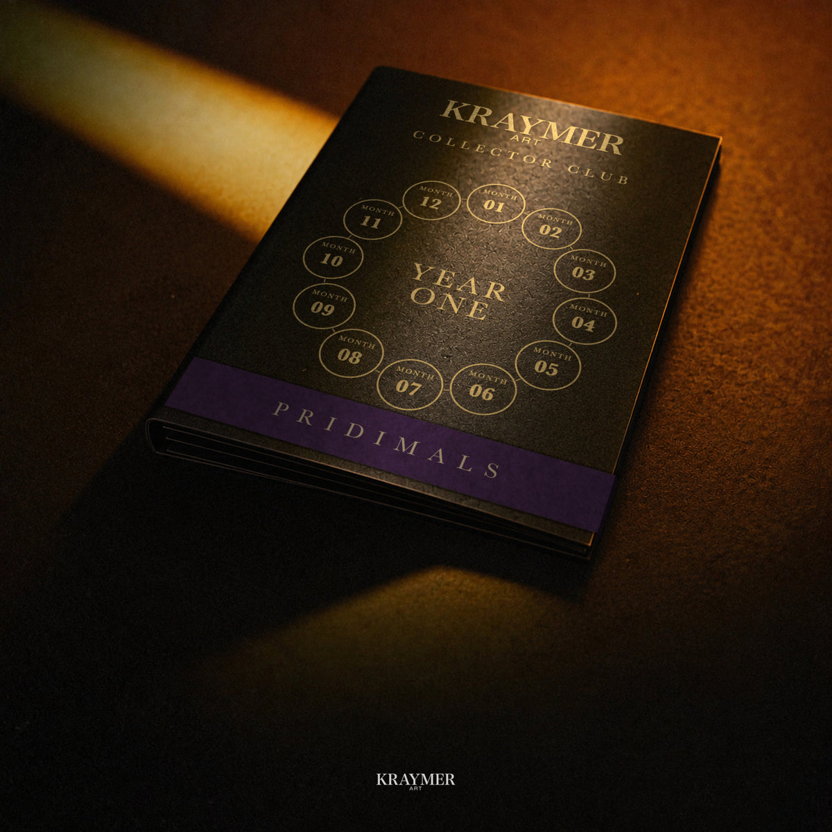 The closed black folio with its gold foil Year One cover