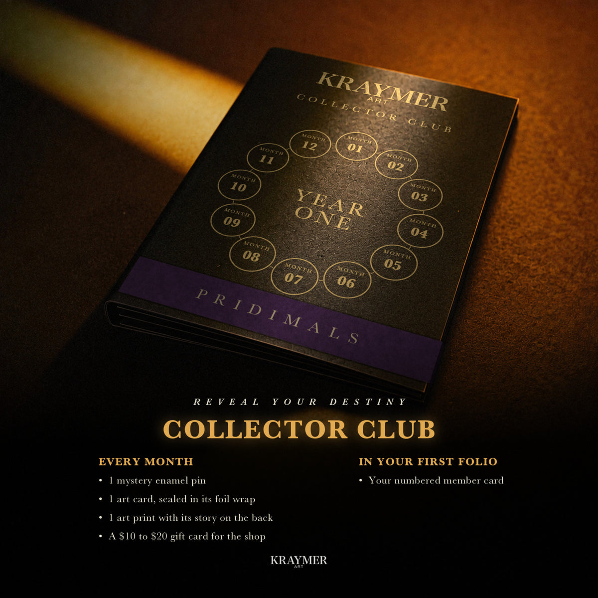 Every month: a mystery enamel pin, a sealed art card, an art print and a $10 to $20 gift card, with a numbered member card in the first folio